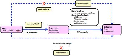 Causal associations of gut microbiota and metabolites on sepsis: a two-sample Mendelian randomization study